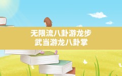 无限流八卦游龙步,武当游龙八卦掌