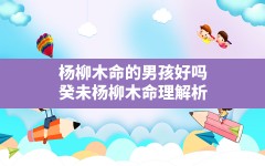 杨柳木命的男孩好吗(癸未杨柳木命理解析)