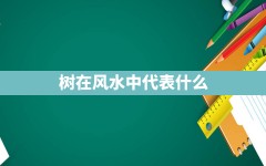 树在风水中代表什么