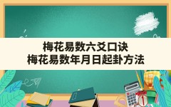 梅花易数六爻口诀,梅花易数年月日起卦方法