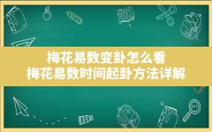 梅花易数变卦怎么看,梅花易数时间起卦方法详解