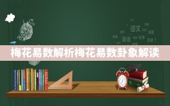 梅花易数解析,梅花易数卦象解读