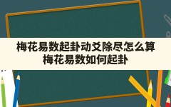 梅花易数起卦动爻除尽怎么算,梅花易数如何起卦