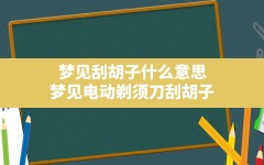 梦见刮胡子什么意思(梦见电动剃须刀刮胡子)