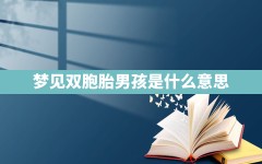 梦见双胞胎男孩是什么意思