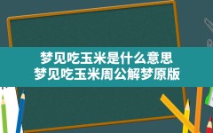 梦见吃玉米是什么意思(梦见吃玉米周公解梦原版)