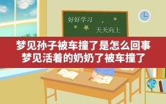 梦见孙子被车撞了是怎么回事(梦见活着的奶奶了被车撞了)