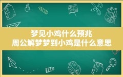 梦见小鸡什么预兆(周公解梦梦到小鸡是什么意思)