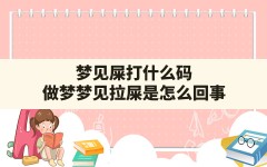 梦见屎打什么码,做梦梦见拉屎是怎么回事