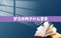 梦见抓鸭子什么意思