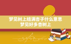 梦见树上结满杏子什么意思,梦见好多杏树上结满了金黄的杏子