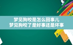 梦见狗咬是怎么回事儿,梦见狗咬了是好事还是坏事