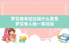 梦见用车拉垃圾什么意思(梦见有人给一车垃圾)