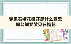 梦见石榴花盛开是什么意思(周公解梦梦见石榴花)