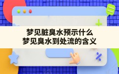 梦见脏臭水预示什么,梦见臭水到处流的含义