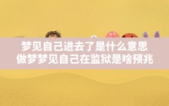 梦见自己进去了是什么意思,做梦梦见自己在监狱是啥预兆