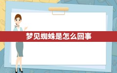 梦见蜘蛛是怎么回事