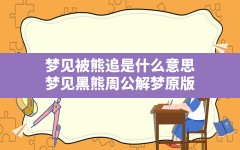 梦见被熊追是什么意思(梦见黑熊周公解梦原版)