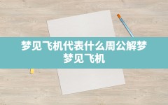 梦见飞机代表什么(周公解梦 梦见飞机)