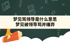 梦见骂领导是什么意思(梦见被领导骂并嫌弃)