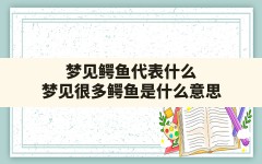 梦见鳄鱼代表什么,梦见很多鳄鱼是什么意思