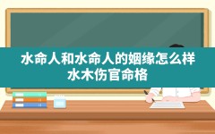 水命人和水命人的姻缘怎么样(水木伤官命格)