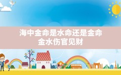 海中金命是水命还是金命(金水伤官见财)