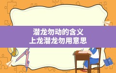 潜龙勿动的含义,上龙潜龙勿用意思