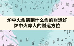 炉中火命遇到什么命的财运好,炉中火命人的财运方位(本命年的炉中火命人)