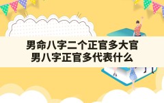 男命八字二个正官多大官,男八字正官多代表什么