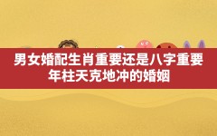 男女婚配生肖重要还是八字重要_年柱天克地冲的婚姻