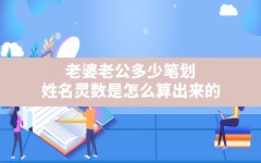 老婆老公多少笔划_姓名灵数是怎么算出来的