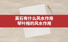 英石有什么风水作用,琴叶榕的风水作用