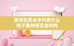 荷花在风水中代表什么,院子里种荷花吉利吗