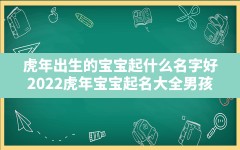 虎年出生的宝宝起什么名字好,2022虎年宝宝起名大全男孩