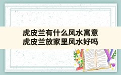 虎皮兰有什么风水寓意,虎皮兰放家里风水好吗