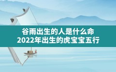 谷雨出生的人是什么命(2022年出生的虎宝宝五行)