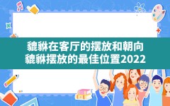 貔貅在客厅的摆放和朝向_貔貅摆放的最佳位置2022