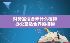 财务室适合养什么植物,办公室适合养的植物