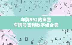 车牌992的寓意,车牌号吉利数字组合表