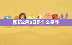 阳历2月8日是什么星座