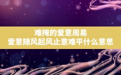 难掩的爱意周易,爱意随风起风止意难平什么意思