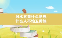 风水五黄什么意思(什么人不怕五黄煞)