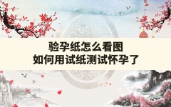 验孕纸怎么看图,如何用试纸测试怀孕了