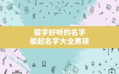 骏字好听的名字,骏起名字大全男孩