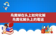 鸟粪掉在头上如何化解,鸟粪化解头上的霉运