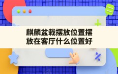 麒麟盆栽摆放位置摆放在客厅什么位置好(麒麟盆栽的摆放在客厅什么位置好)