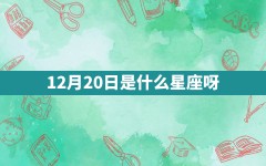 12月20日是什么星座呀