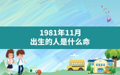 1981年11月出生的人是什么命_1981年11月生人性格命运