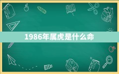 1986年属虎是什么命